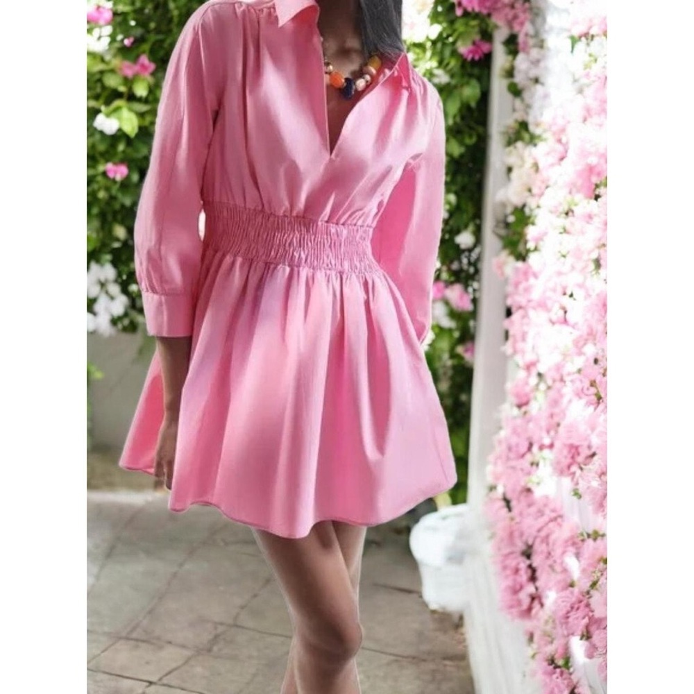 NWOT Zara Poplin Collard Mini Dress